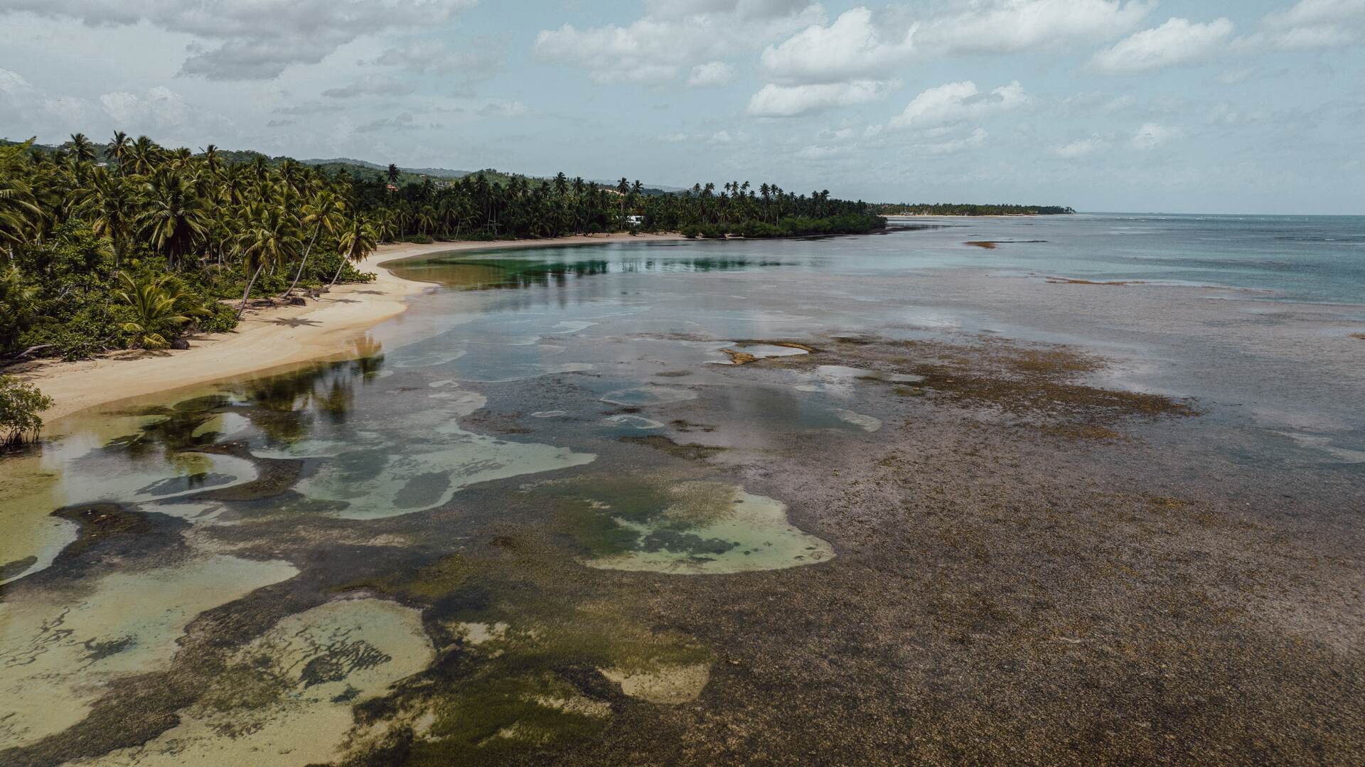 Conservación de ecosistema marítimo